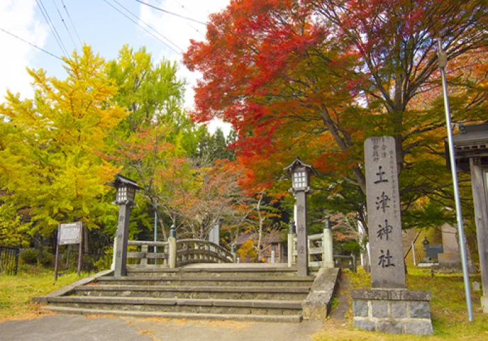 土津神社の杉並木参道と拝殿