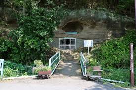 岩村田ヒカリゴケ 神秘の光